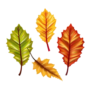 Serene Autumn Leaves PNG 22