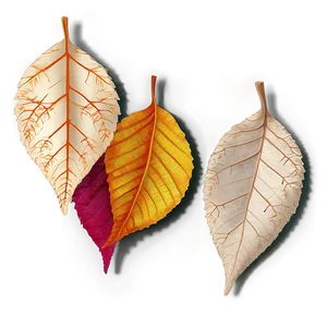 Serene Autumn Leaves PNG 67