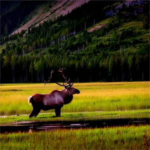 Serene Caribou At Lakeside PNG 06292024