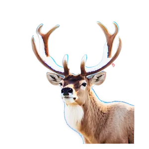 Serene Caribou At Lakeside PNG 65 PNG