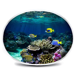 Serene Coral Reef Paradise PNG 59
