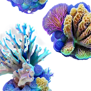 Serene Coral Reef Paradise PNG Wkm