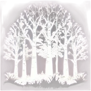 Serene Forest Silhouette PNG 06262024