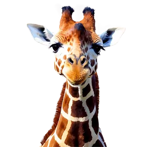 Serene Giraffe Graze PNG Lor82 PNG