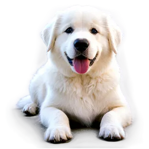 Serene Great Pyrenees PNG 80