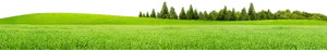 Serene Green Meadow Panorama PNG image