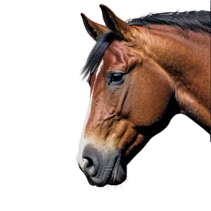 Serene Horse Head Landscape PNG 17