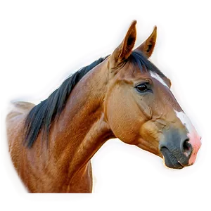 Serene Horse Head Landscape PNG Uon