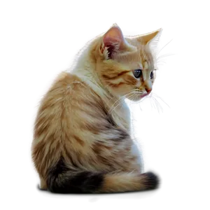 Serene Kitten PNG 14
