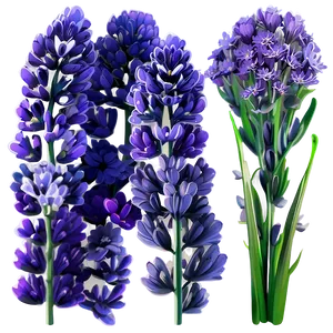 Serene Lavender Png 2 PNG image