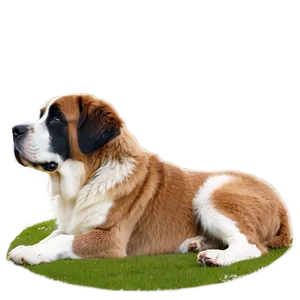 Serene St Bernard In Nature PNG 83 PNG