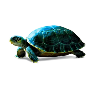 Serene Turtle Png Uyb58 PNG image