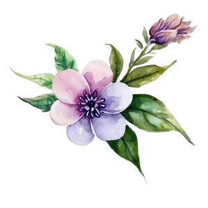 Serene Watercolor Floral PNG 93 PNG