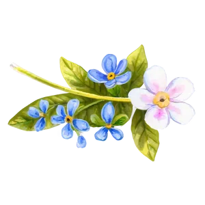 Serene Watercolor Floral PNG Obq PNG