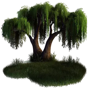 Serene Willow Trees PNG 62