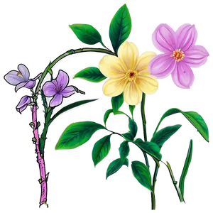 "serenity In Blossoms: Peaceful Flower PNG" C