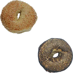 Sesame Poppyseed Bagels PNG image