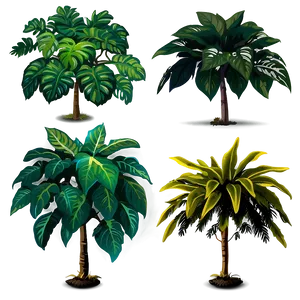 Shade Loving Plants PNG Akx