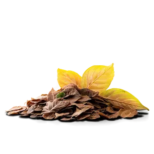 Shaded Leaves Pile Png 06212024 PNG image