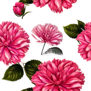 Shaded Pink Flowers Png 05242024 PNG image