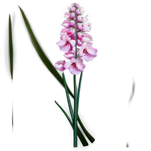 Shaded Pink Flowers Png 95 PNG image