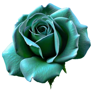 Shaded Rose PNG Cdy86