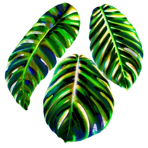 Shadow Leaves PNG Pju