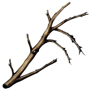 Shadowed Twig Png 06132024 PNG image