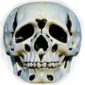 Shadowy Skull Representation Png D PNG image