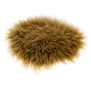 Shaggy Comfort Carpet PNG 05242024