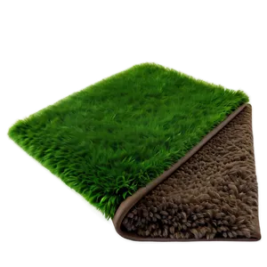 Shaggy Comfort Carpet PNG 05242024