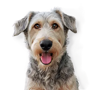 Shaggy Dog Nose PNG Qpp24