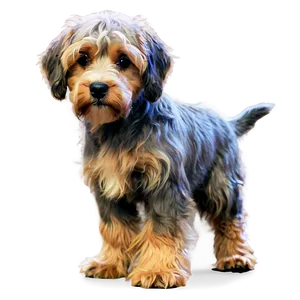 Shaggy Puppy PNG 05062024 PNG