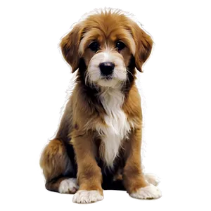 Shaggy Puppy PNG 05062024