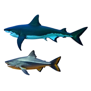 Shark And Fish Transparent PNG Gbi18 PNG