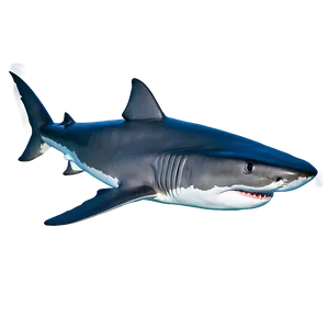 Shark C
