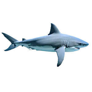 Shark Cage Diving Png Ird PNG image