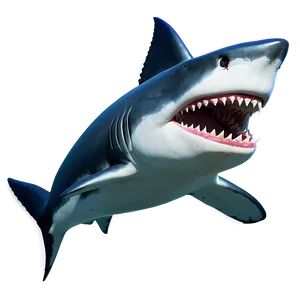 Shark Cartoon D PNG image