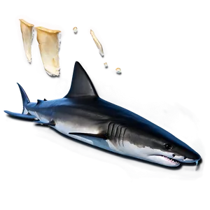 Shark Fin Soup Png Xhw1 PNG image