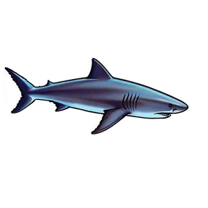 Shark Illustration Png 05032024 PNG image