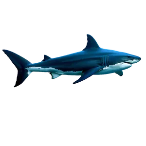Shark In Ocean Png 05032024 PNG image