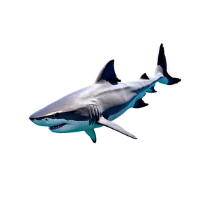 Shark In Water Png 57 PNG image