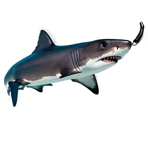 Shark Jaw On White Background Png 91 PNG image