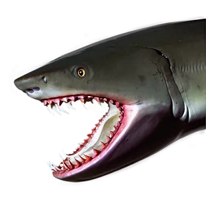 Shark Jaw With Fish Png 06292024 PNG image