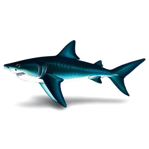 Shark Jaw With Teeth Png 93 PNG image