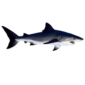 Shark Silhouette Png Ppi PNG image