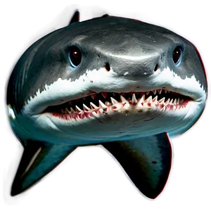 Shark T-shirt Design Png 88 PNG image