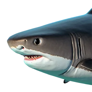 Shark Underwater Png Rqd77 PNG image