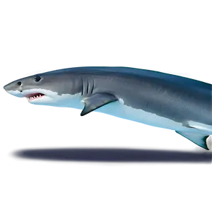 Shark Underwater Png Uqu PNG image