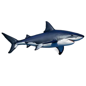 Shark Week Special Png 05032024 PNG image
